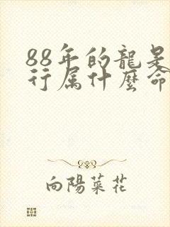 88年的龙是五行属什么命