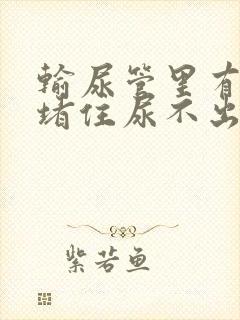 输尿管里有结石堵住尿不出来怎么办