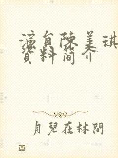 演员陈美琪个人资料简介封面