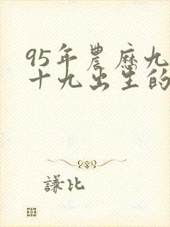 95年农历九月十九出生的命运