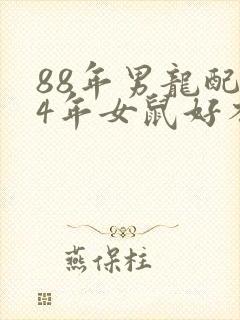 88年男龙配84年女鼠好不好封面