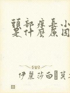 头部痒长小疙瘩是什么原因