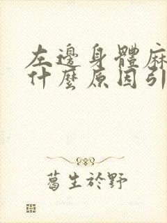 左边身体麻木是什么原因引起的