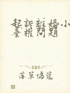 起诉离婚小孩抚养权问题