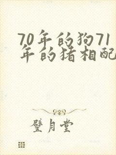 70年的狗71年的猪相配吗