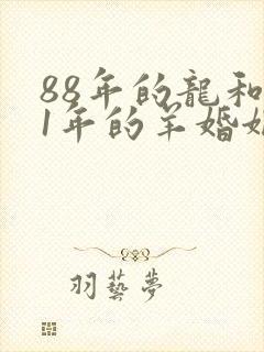 88年的龙和91年的羊婚姻怎么样封面