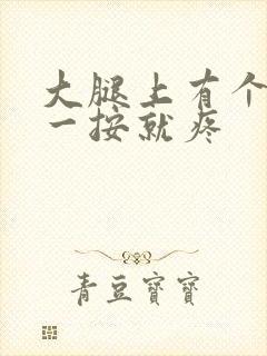 大腿上有个硬块一按就疼封面