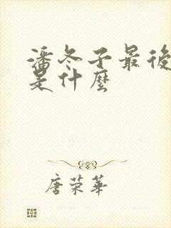 潘冬子最后结局是什么封面