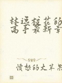 林逸校花的贴身高手最新章节8627