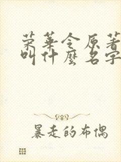 荣华令原著小说叫什么名字来着