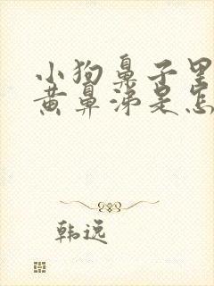 小狗鼻子里流浓黄鼻涕是怎么回事