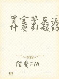 胃食管反流病因什么引起的