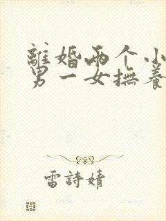 离婚两个小孩一男一女抚养权怎么判定