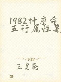 1982什么命五行属性是什么