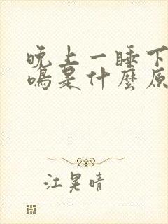 晚上一睡下就耳鸣是什么原因