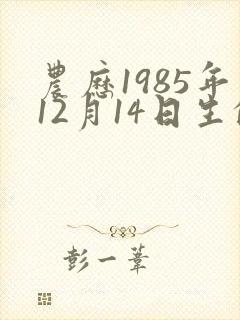 农历1985年12月14日生的八字