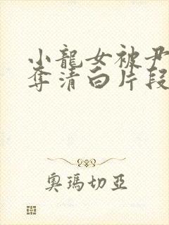 小龙女被尹志平夺清白片段