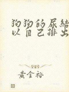 狗狗的尿结石可以自己排出