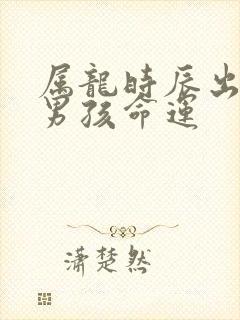 属龙时辰出生的男孩命运