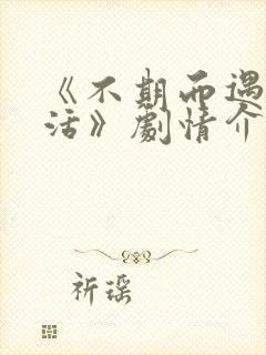 《不期而遇的生活》剧情介绍