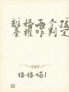 离婚两个孩子抚养权咋判定