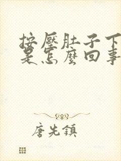 按压肚子下边疼是怎么回事封面