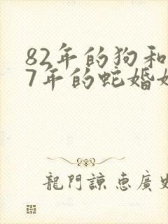 82年的狗和77年的蛇婚姻