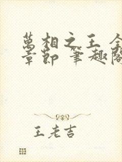 万相之王 全部章节 笔趣阁5200