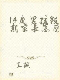 14岁男孩叛逆期家长怎么办封面