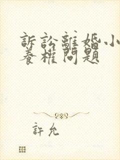 诉讼离婚小孩抚养权问题