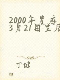 2000年农历3月21日生辰八字