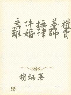 案件抚养权诉讼离婚律师费