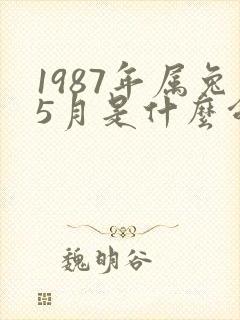 1987年属兔5月是什么命运