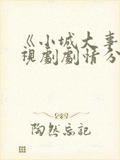 《小城大事》电视剧剧情分集介绍封面