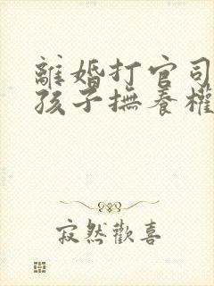 离婚打官司争夺孩子抚养权