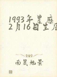 1993年农历2月16日生辰八字