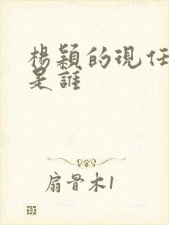 杨颖的现任丈夫是谁