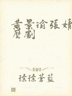 黄景瑜张婧仪什么剧封面