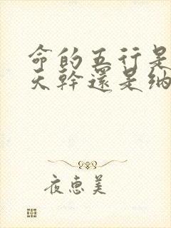 命的五行是根据天干还是纳音