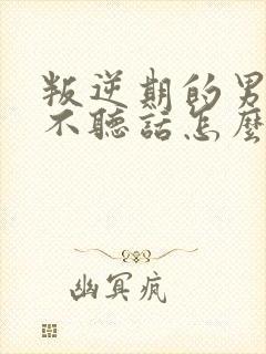 叛逆期的男孩子不听话怎么去沟通封面