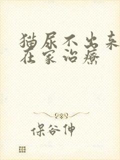 猫尿不出来怎么在家治疗