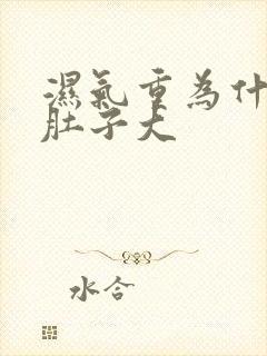 湿气重为什么会肚子大