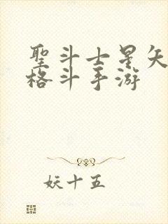 圣斗士星矢3d格斗手游