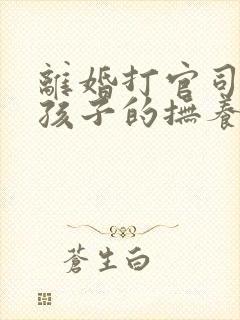 离婚打官司争取孩子的抚养权封面