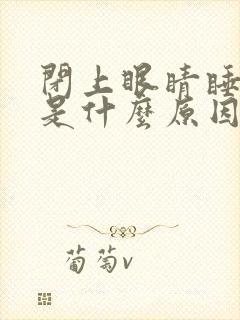 闭上眼睛睡不着是什么原因