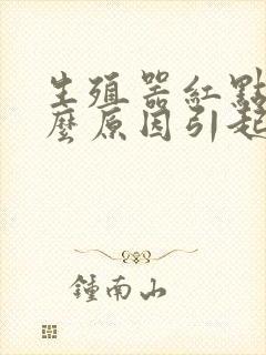 生殖器红点是什么原因引起的