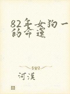 82年女狗一生的命运