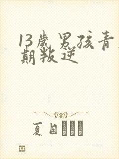 13岁男孩青春期叛逆