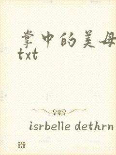 掌中的美母版主txt