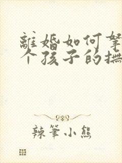 离婚如何拿到两个孩子的抚养权